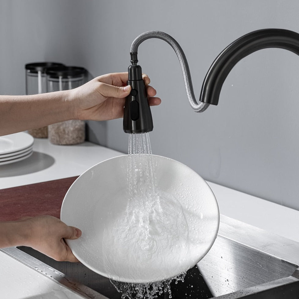 Touchless Kitchen Faucet - ZestyEV